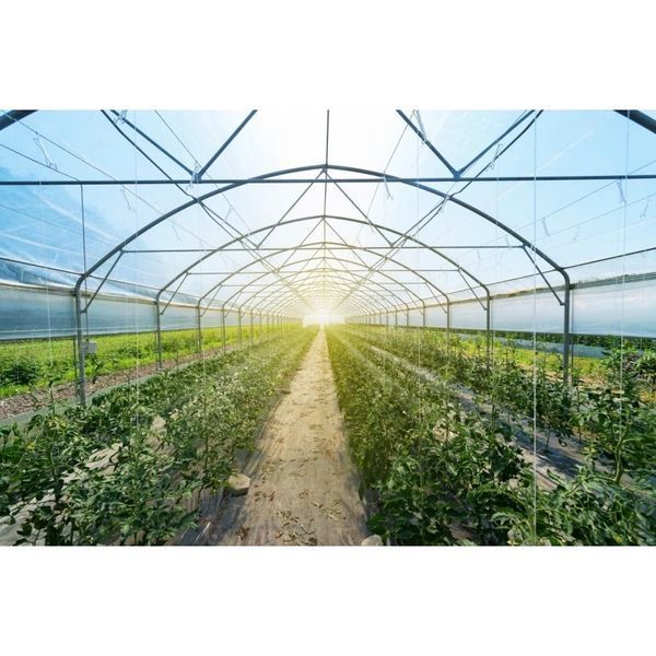 Багатошарова теплична плівка Plastika Kritis 150мкм 6 сезонів Греція (ВІДРІЗ НА МЕТРАЖ) ширина 16м PK-6-150-14-Proz фото